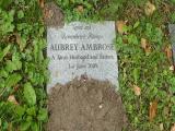 image number Ambrose Aubrey   348